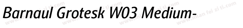 Barnaul Grotesk W03 Medium字体转换